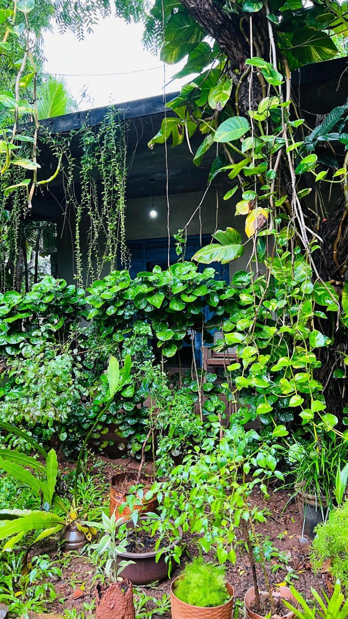 Kataragama Homestay Екстер'єр фото