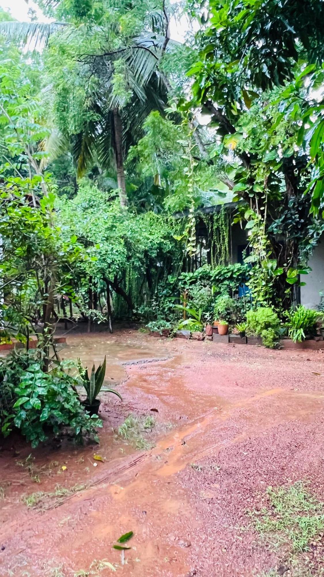 Kataragama Homestay Екстер'єр фото